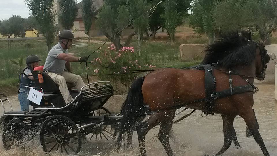Pr&oacute;ximos compromisos en la disciplina de Enganches